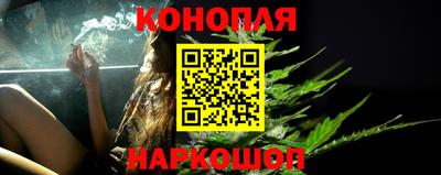 индика Пушкино
