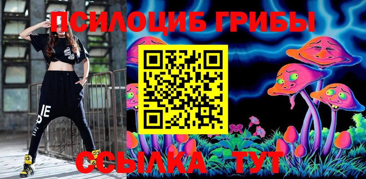 Псилоцибиновые грибы Psilocybine cubensis  Вход с VPN  купить наркоту  Торжок 