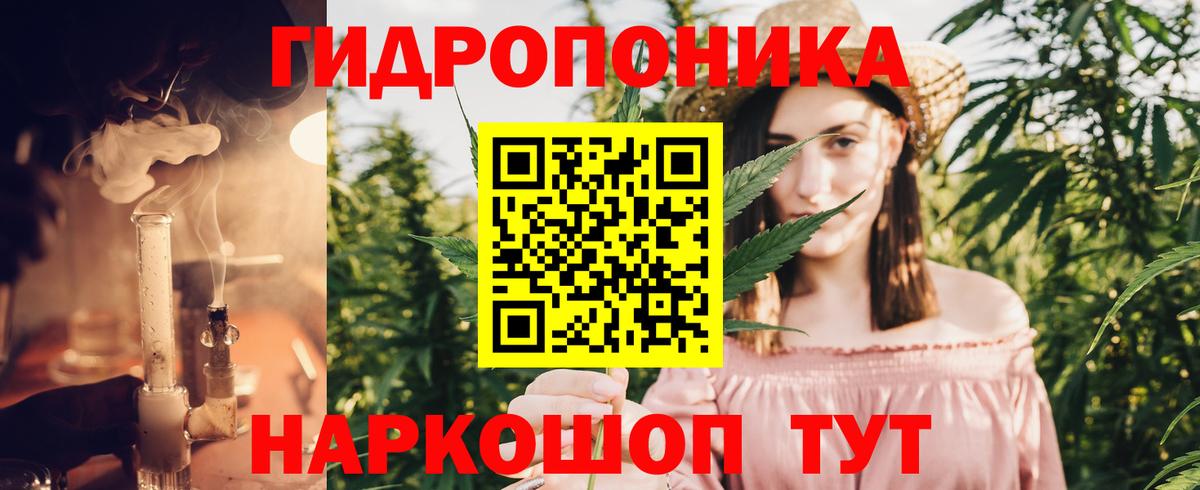 Каннабис ГИДРОПОН Торжок