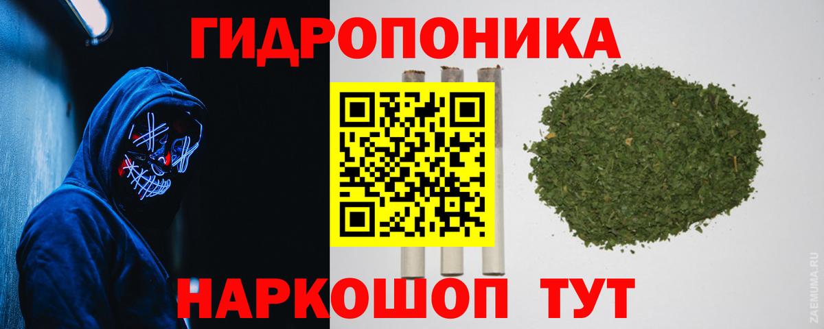 МАРИХУАНА гибрид  Бошки марихуана сатива  Марихуана план  Канабис SATIVA & INDICA  Вход с VPN  Торжок 
